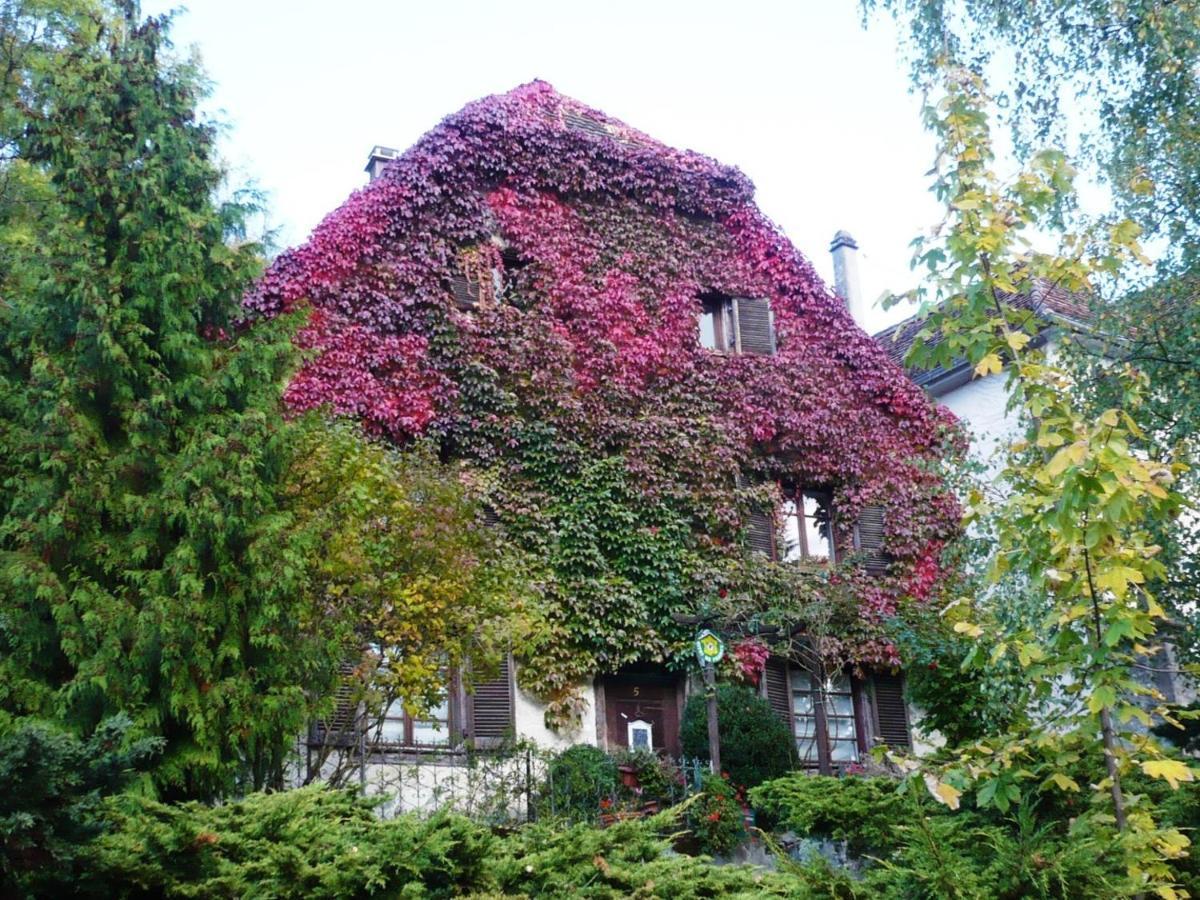 B&B De Charme La Maison Des 5 Temps Ferrette Exterior photo