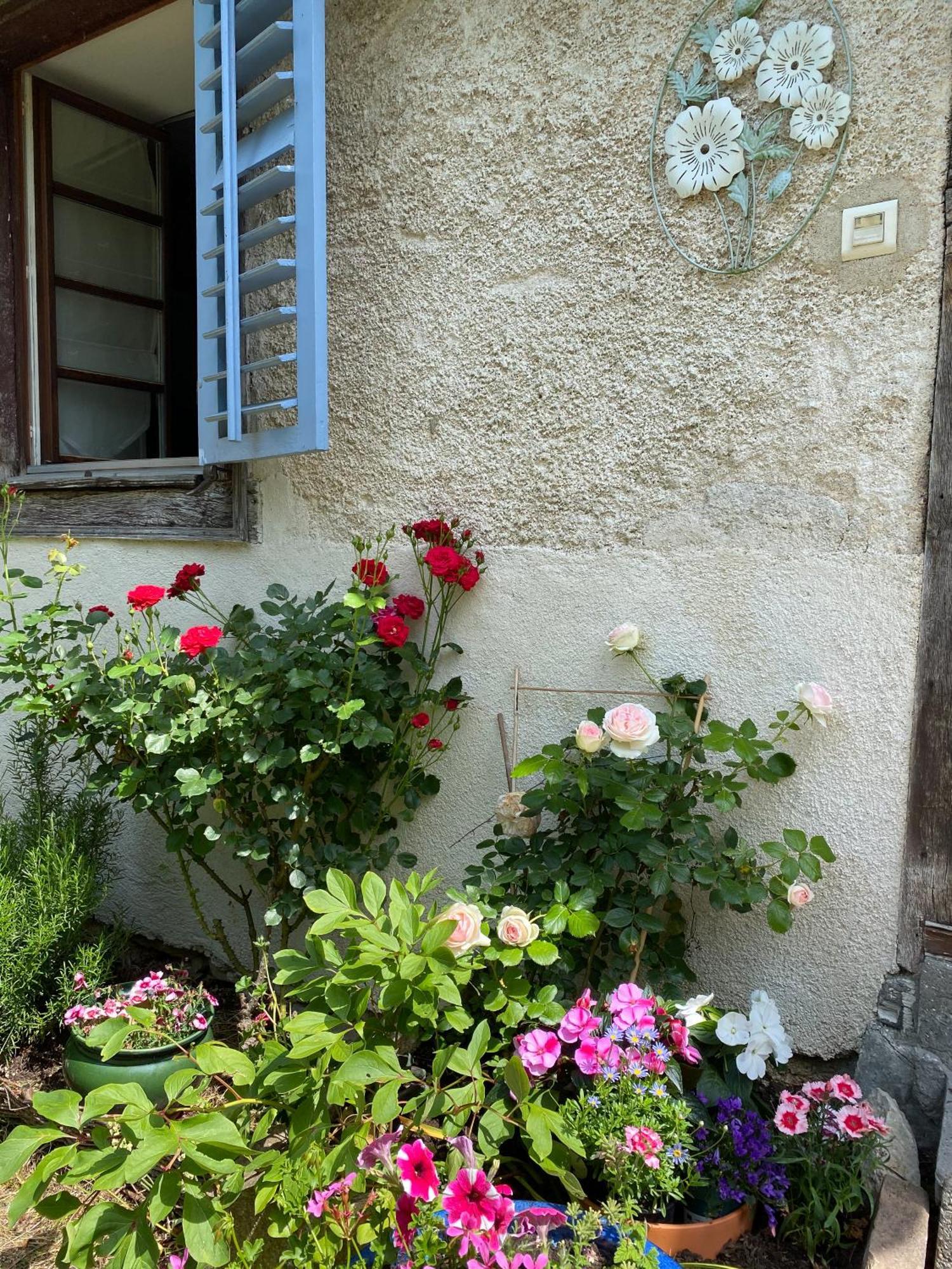 B&B De Charme La Maison Des 5 Temps Ferrette Room photo